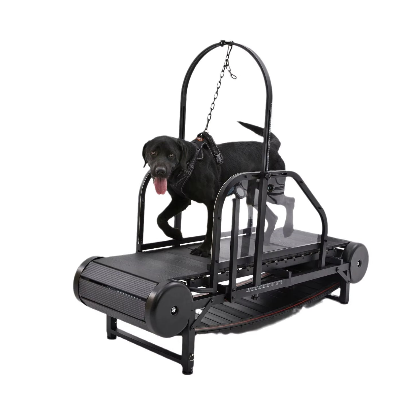 Dog Treadmill for Large Dogs Indoor & Outdoor Canine Running Machine for Pet Health and Fitness, Doggy Exercise Equipment