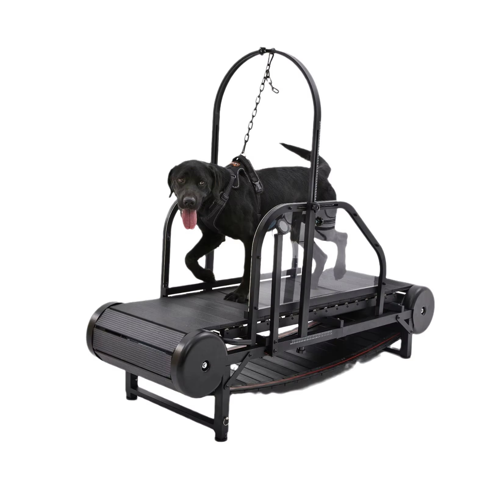 Dog Treadmill for Large Dogs Indoor & Outdoor Canine Running Machine for Pet Health and Fitness, Doggy Exercise Equipment